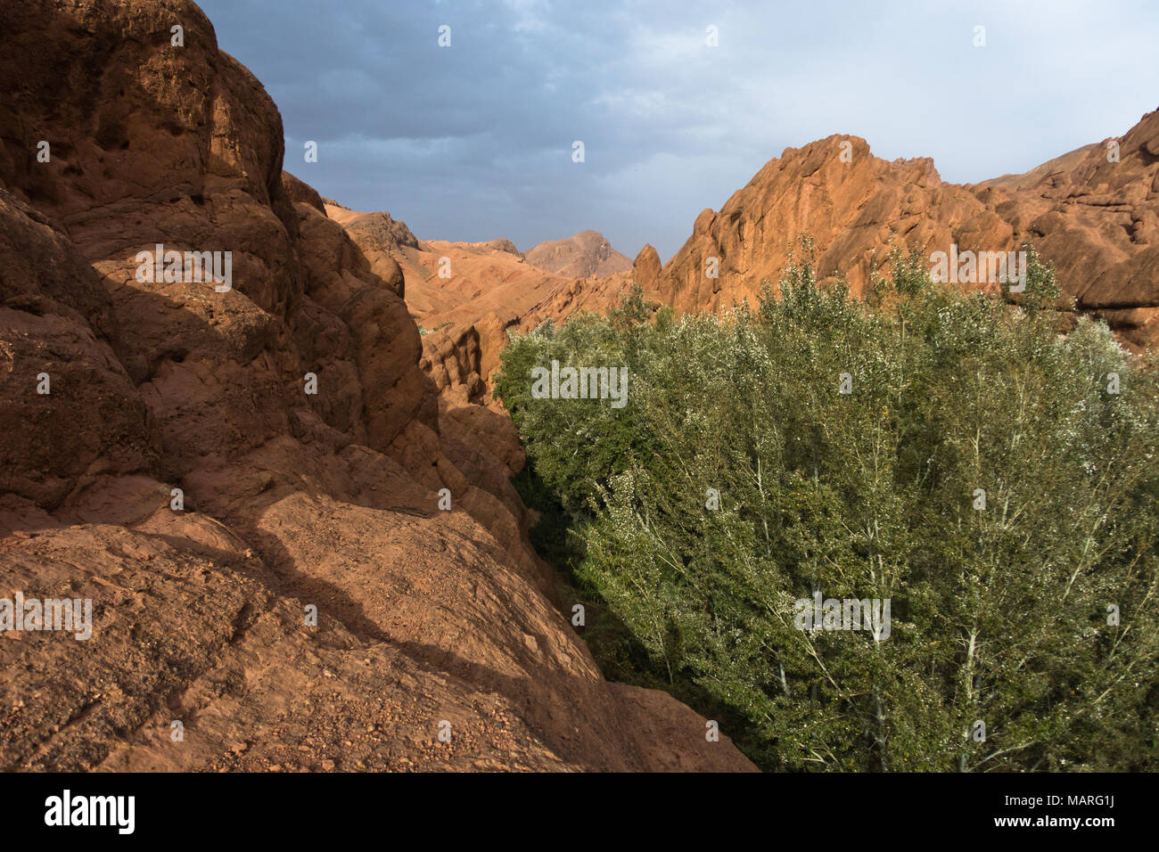 Rocky landscape at the top of Dadas Gorge in Morocco Stock Photo