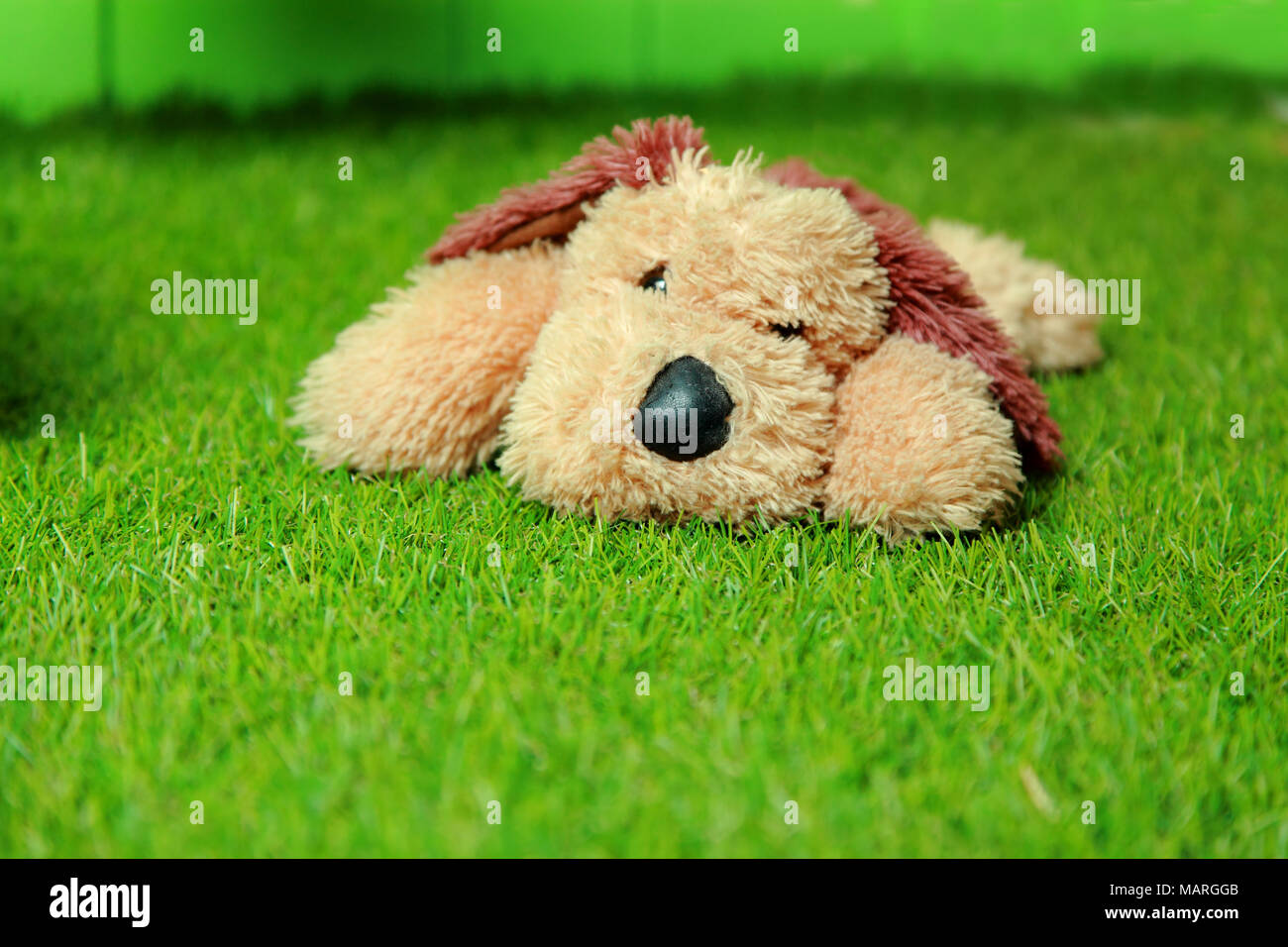 small soft toy dog