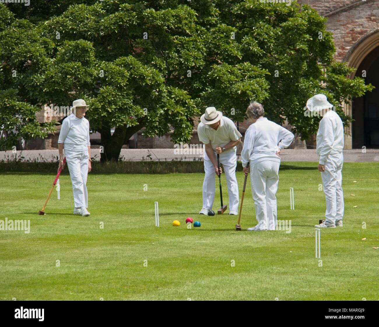 Croquet Mallet Stock Photos & Croquet Mallet Stock Images Alamy