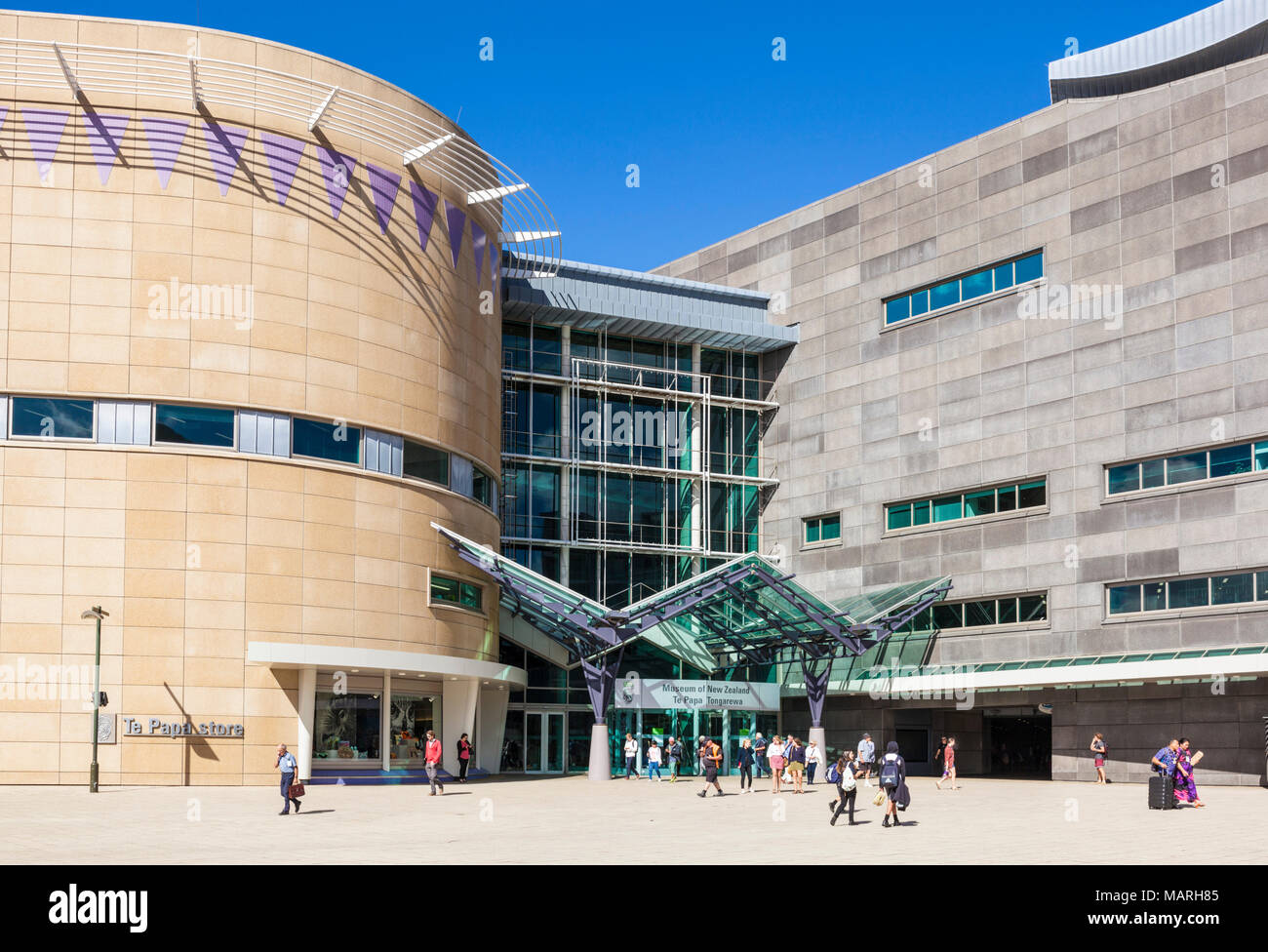 Museum of New Zealand Te Papa Tongarewa national museum and mixed art gallery wellington waterfront new zealand WELLINGTON NEW ZEALAND nz Stock Photo