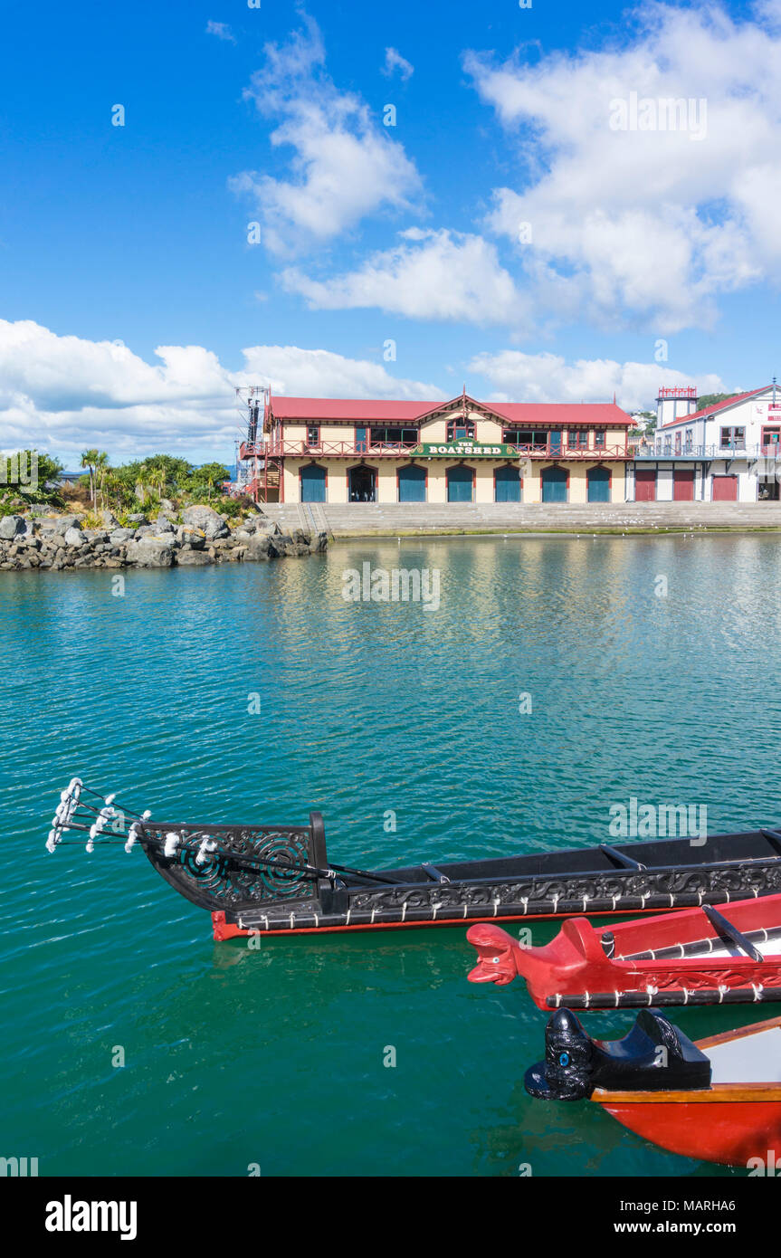 NEW ZEALAND WELLINGTON NEW ZEALAND Prows of traditional maori canoes or wakas by the historic venue the boatshed wellington waterfront new zealand Stock Photo