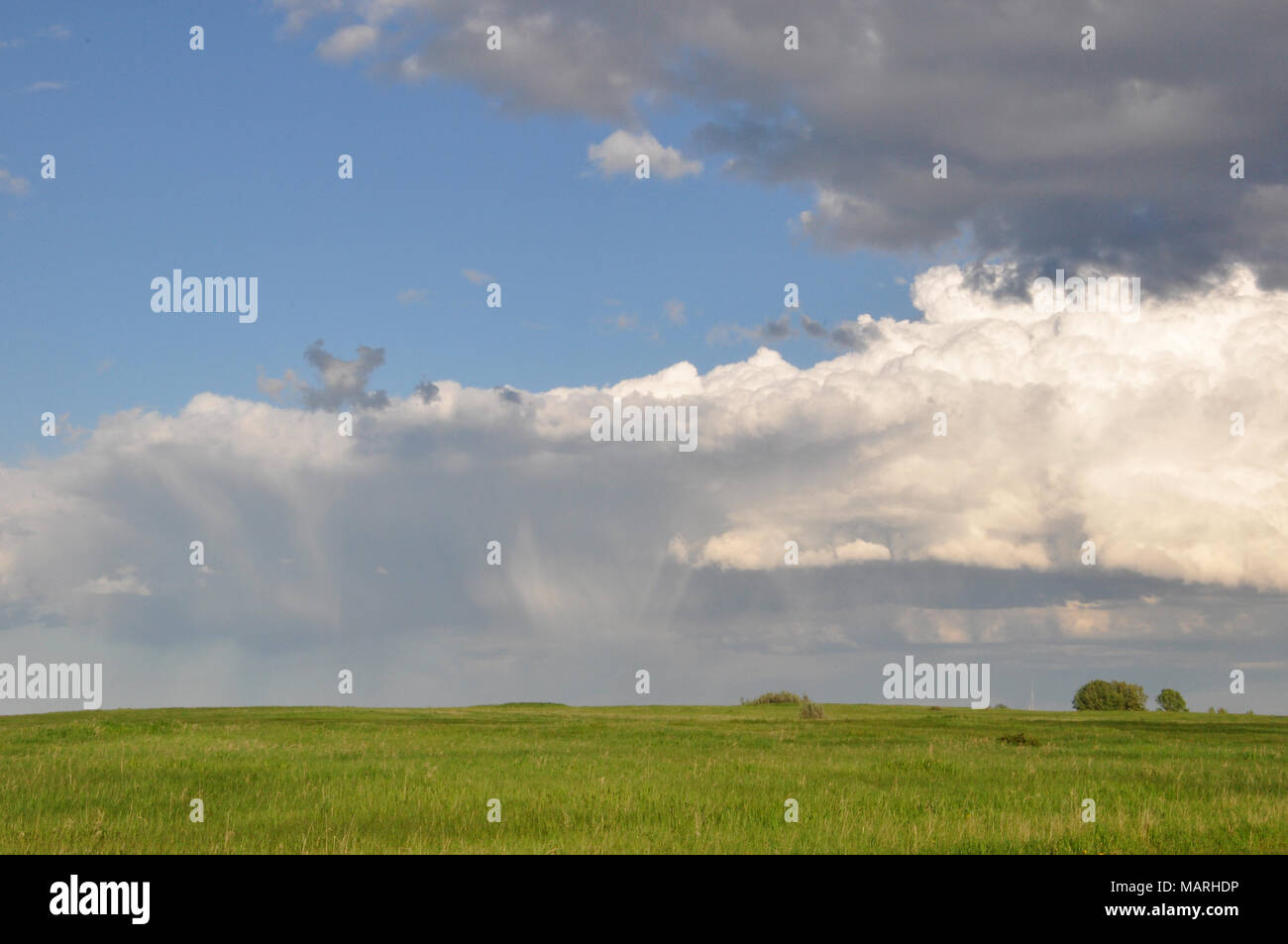 White Fluffy Cloud in a Bright Blue Sky over the Lush Green Grasses of Nose Hill Park in Calgary, Alberta. Stock Photo