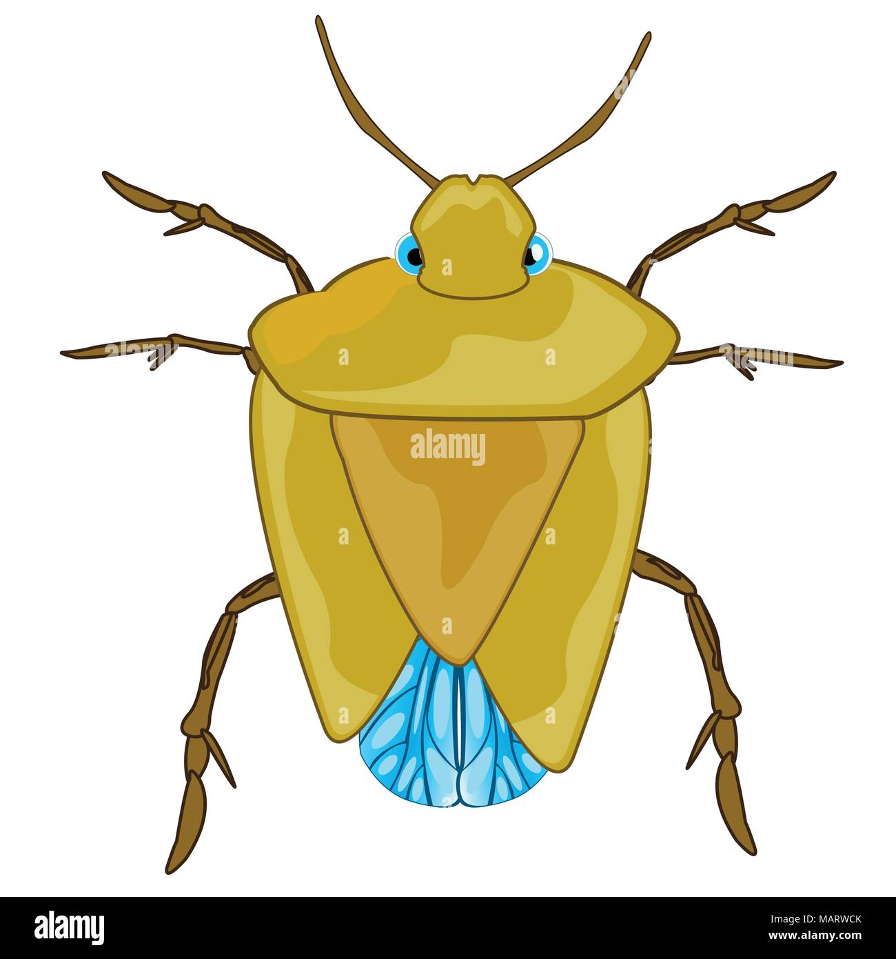 Bad insect bedbug Stock Vector
