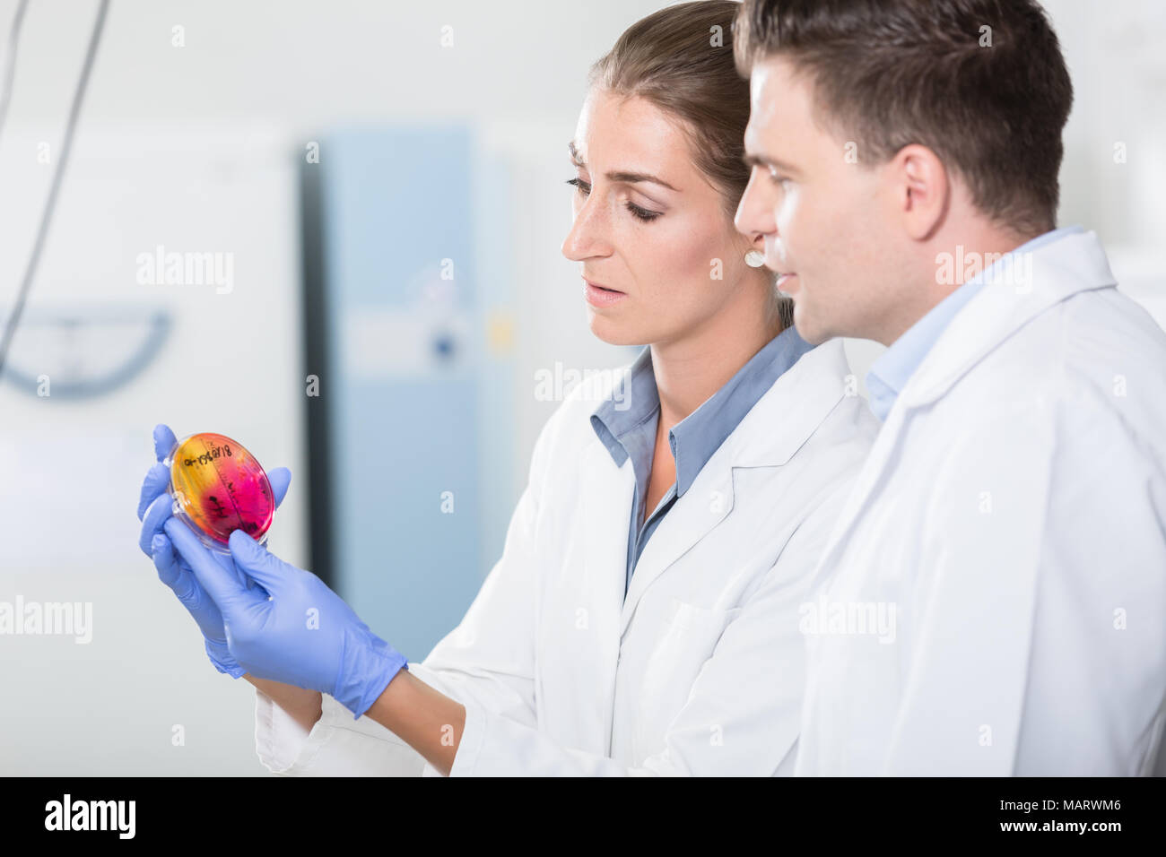 Scientists in laboratory regarding sample in petri plate Stock Photo