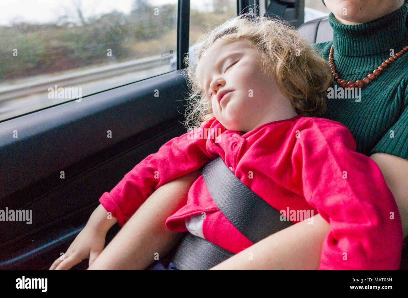 Sleeping two year old child riding in back seat of car on mother's lap using seat belt, UK Stock Photo