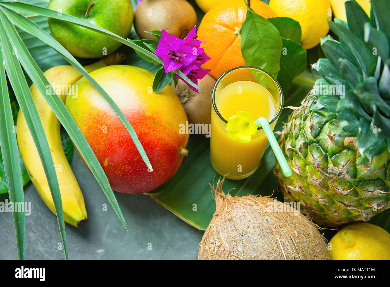 Fruits bananas on the palm on an exotic resort Stock Photo Alamy