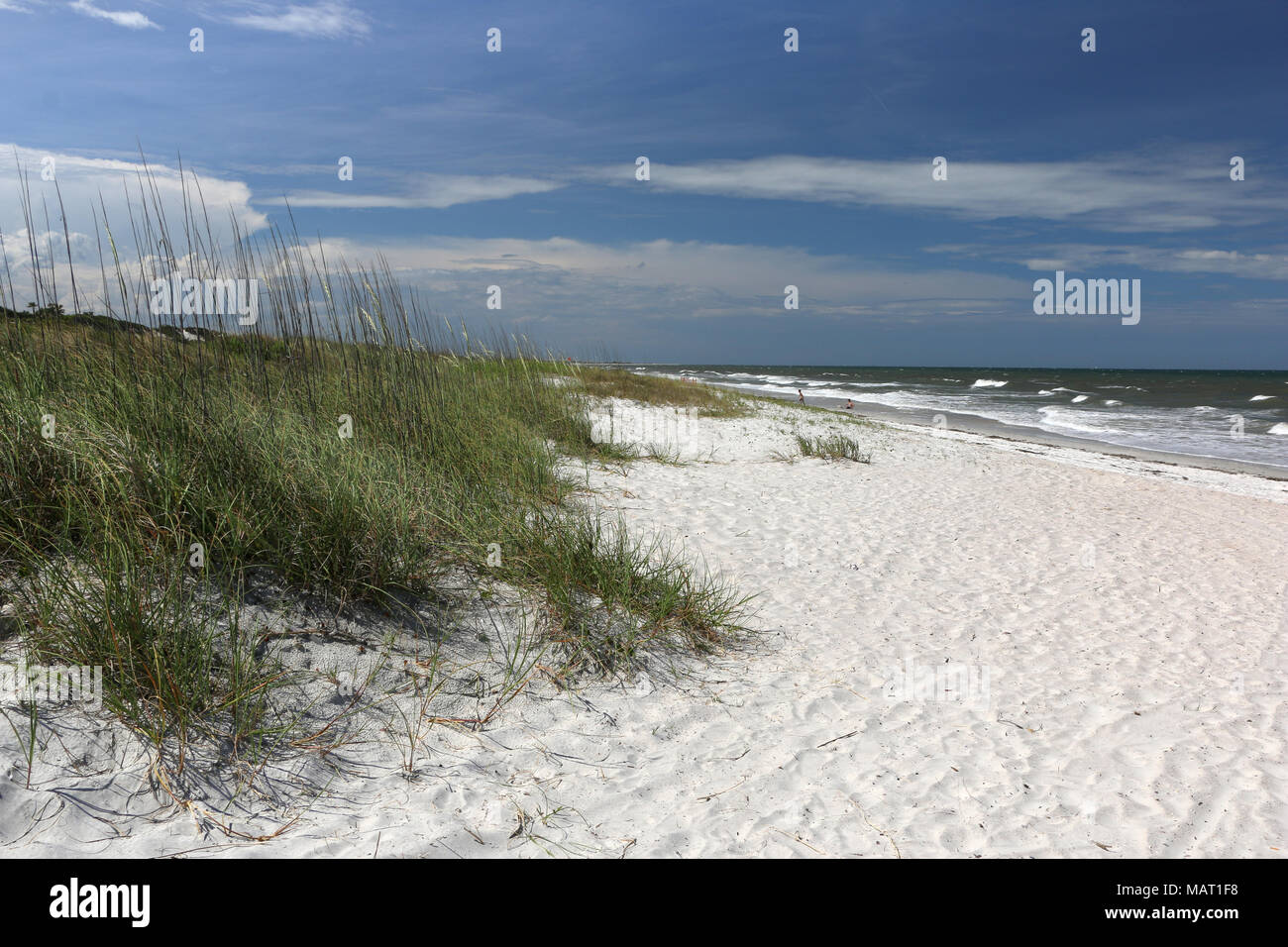 Hanna park jacksonville florida hi-res stock photography and images - Alamy