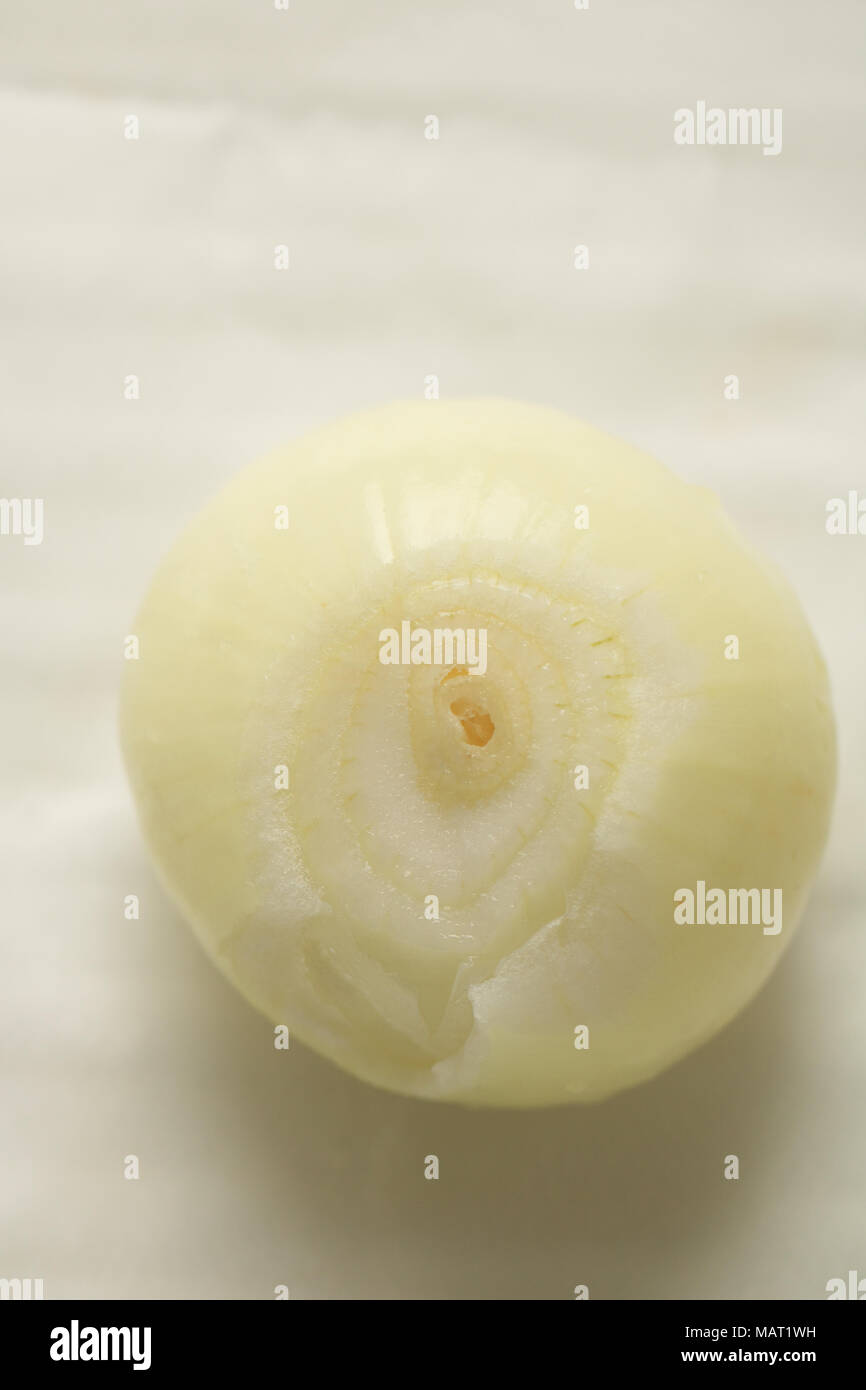 Top view of a peeled onion on white background. Vertical shot with copy space Stock Photo
