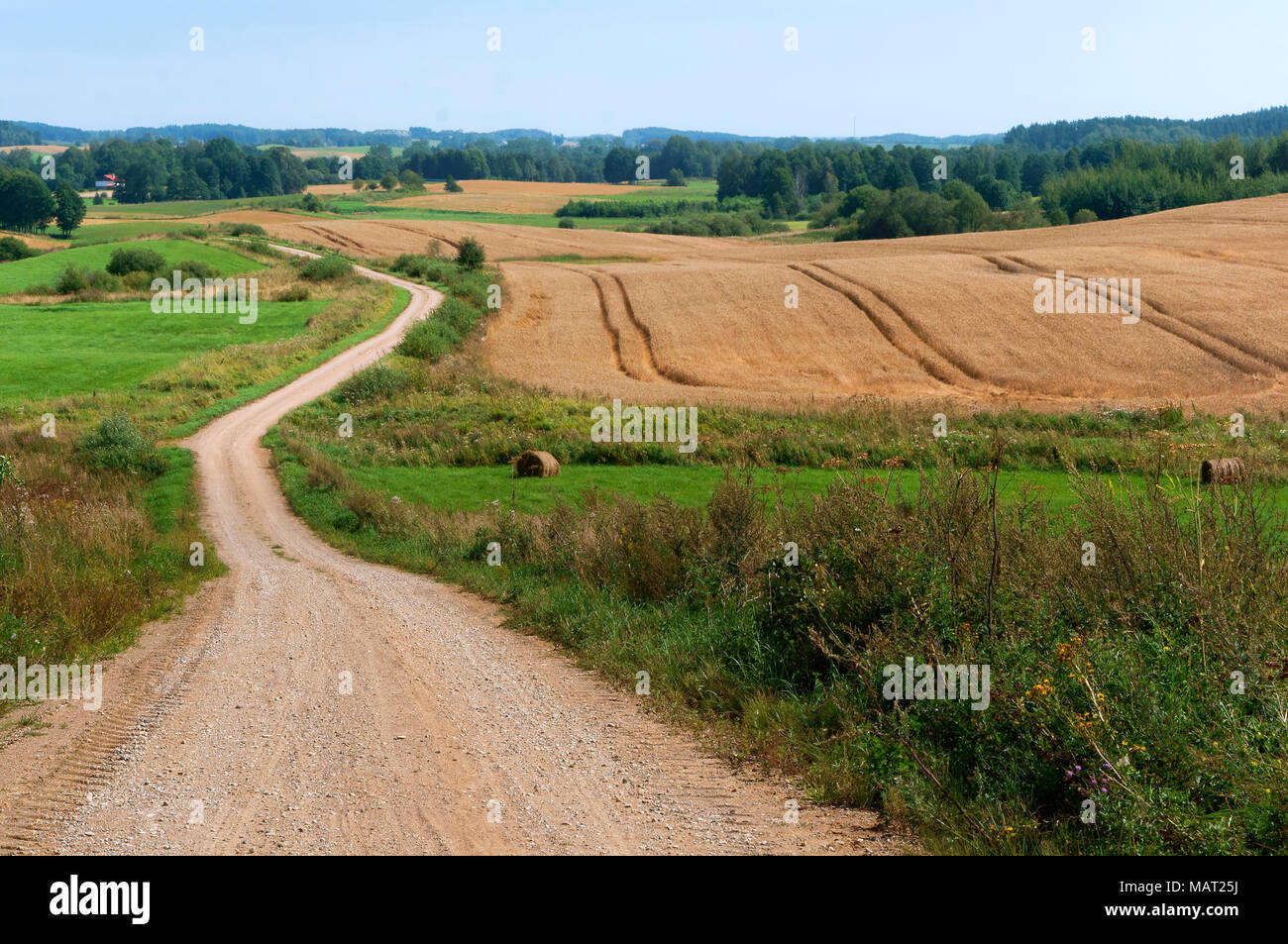 agricultural land, long road in plowed field, dirt road in the middle of the field Stock Photo