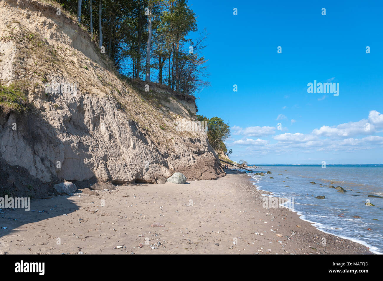 Landscape at the Brodtener steep coast, Travemunde, Baltic Sea, Schleswig-Holstein, Germany, Europe Stock Photo
