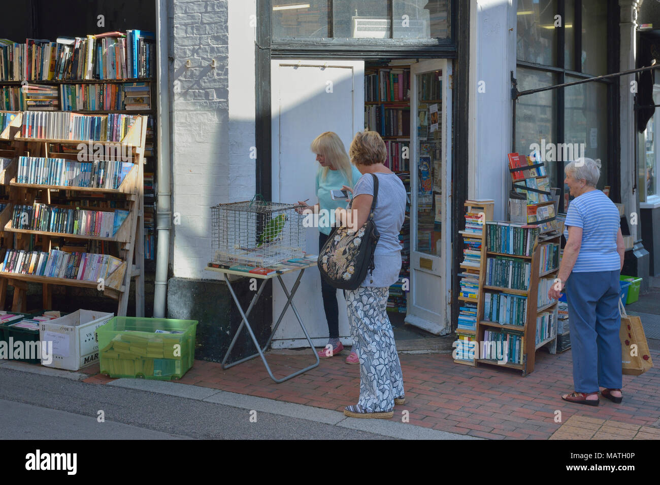 Camilla's Bookshop, Eastbourne, East Sussex, England, UK Stock Photo