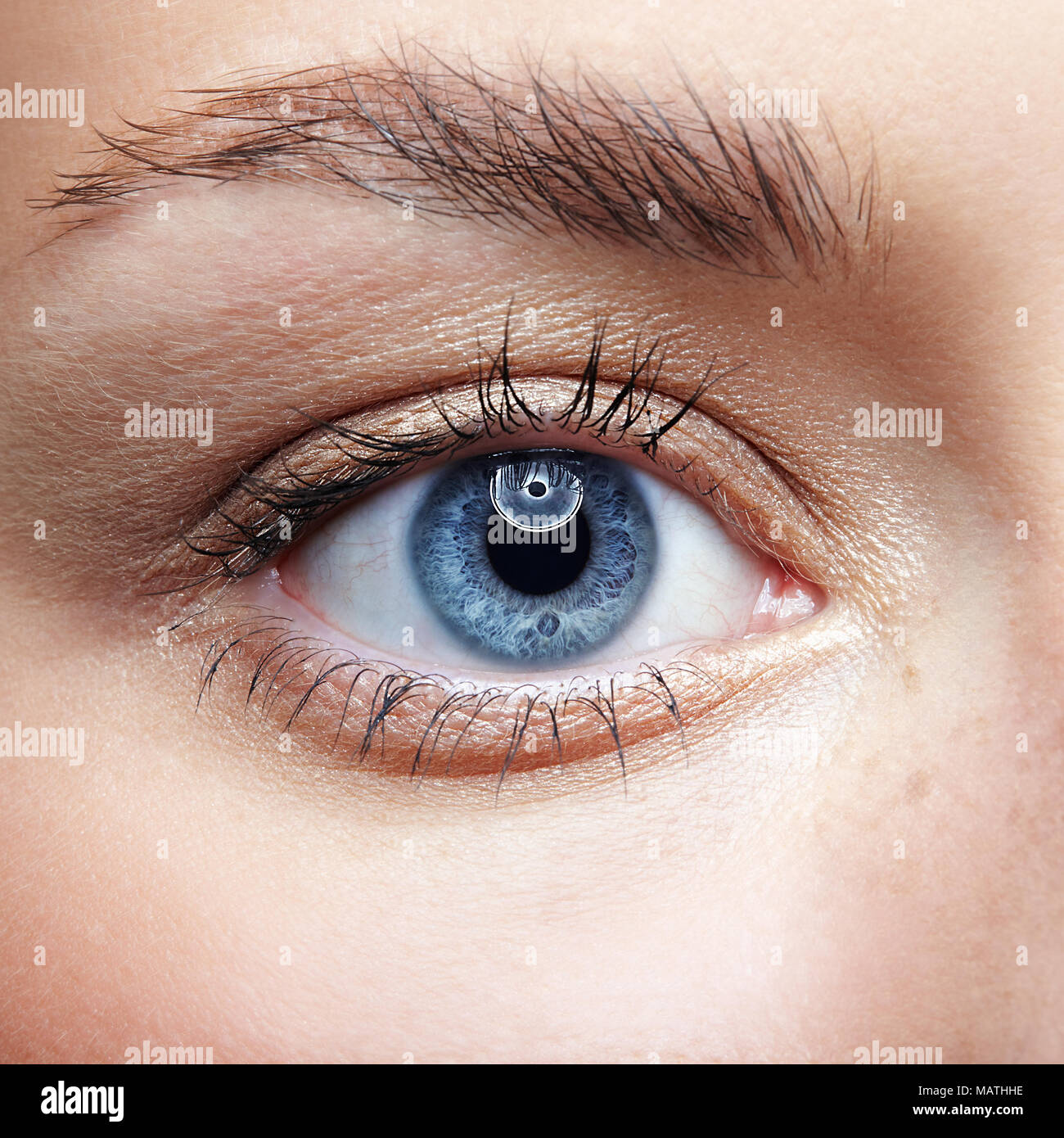 Closeup macro portrait of female face. Human woman blue eye with day beauty makeup and long natural eyelashes. Girl with perfect skin and freckles. Stock Photo
