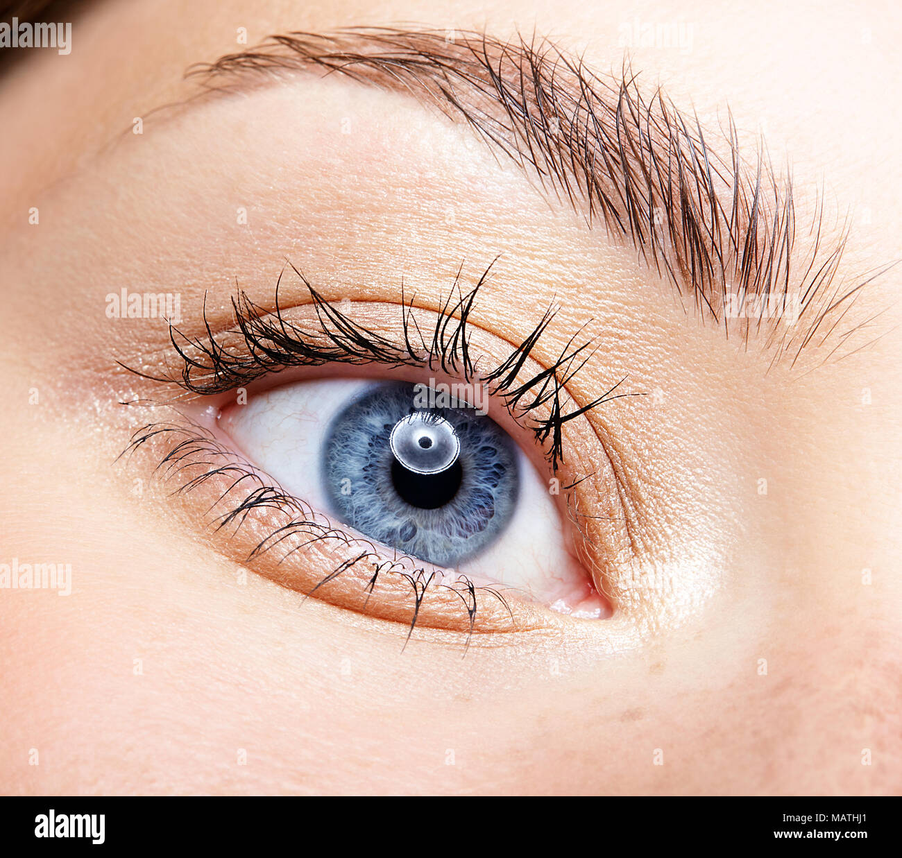 Closeup macro portrait of female face. Human woman blue eye with day beauty makeup and long natural eyelashes. Girl with perfect skin and freckles. Stock Photo
