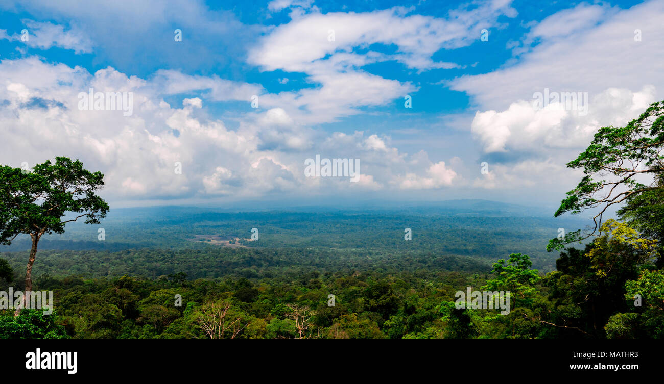 Beautiful view of tropical forest at Khao Yai national park in Thailand. World heritage. Green dense tall trees on the mountain and blue sky and cumul Stock Photo