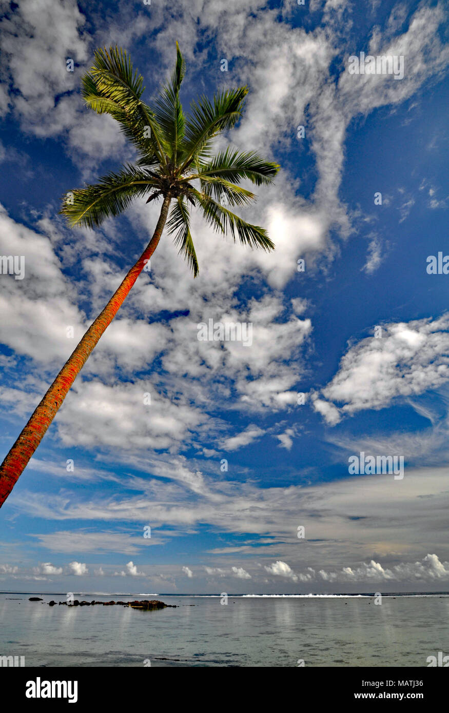 Fiji viti levu island sigatoka hi-res stock photography and images - Alamy