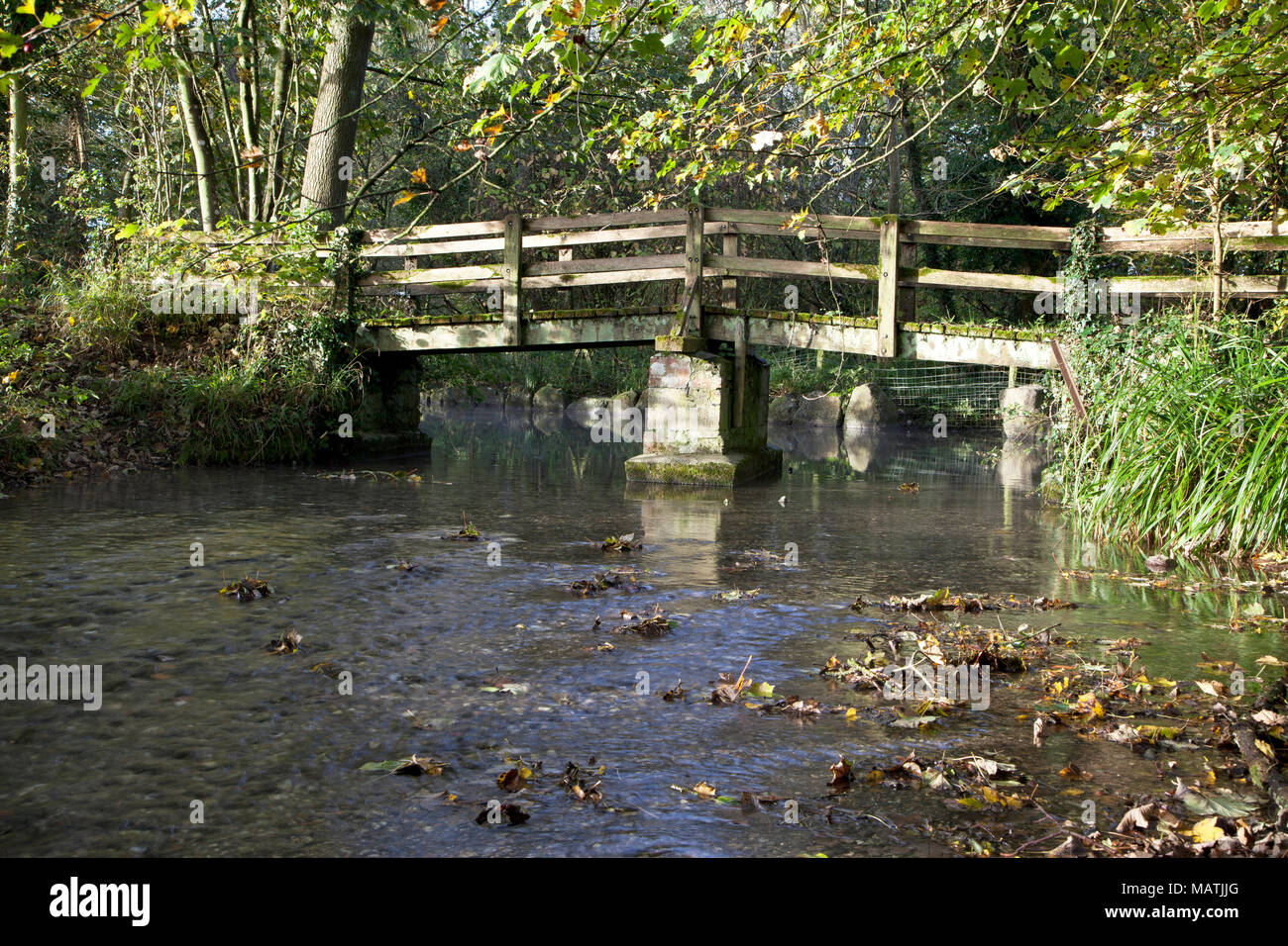The River Wylye at Kingston Deverill, south of Warminster in Wiltshire. Stock Photo