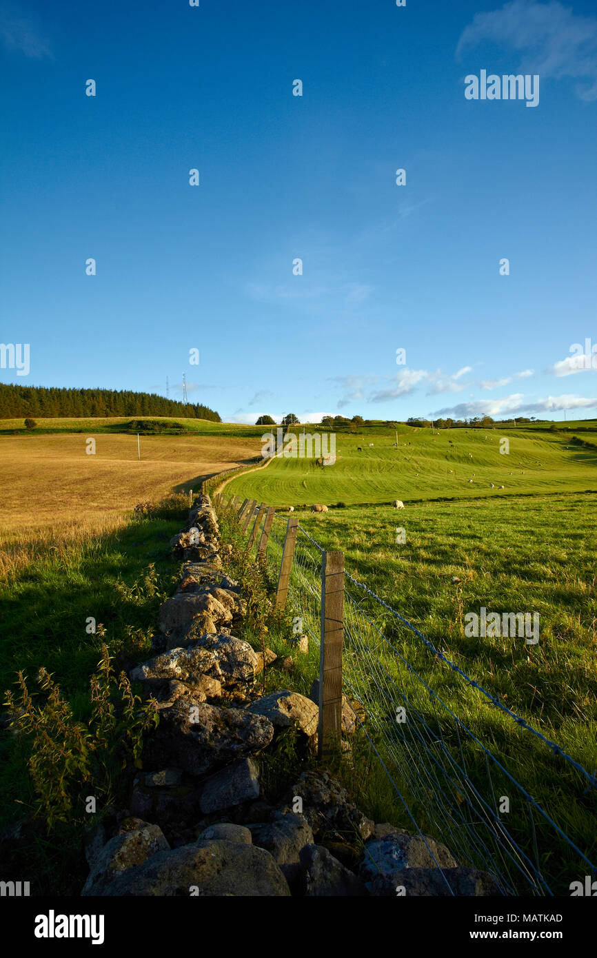 Langbank on the River Clyde Stock Photo Alamy