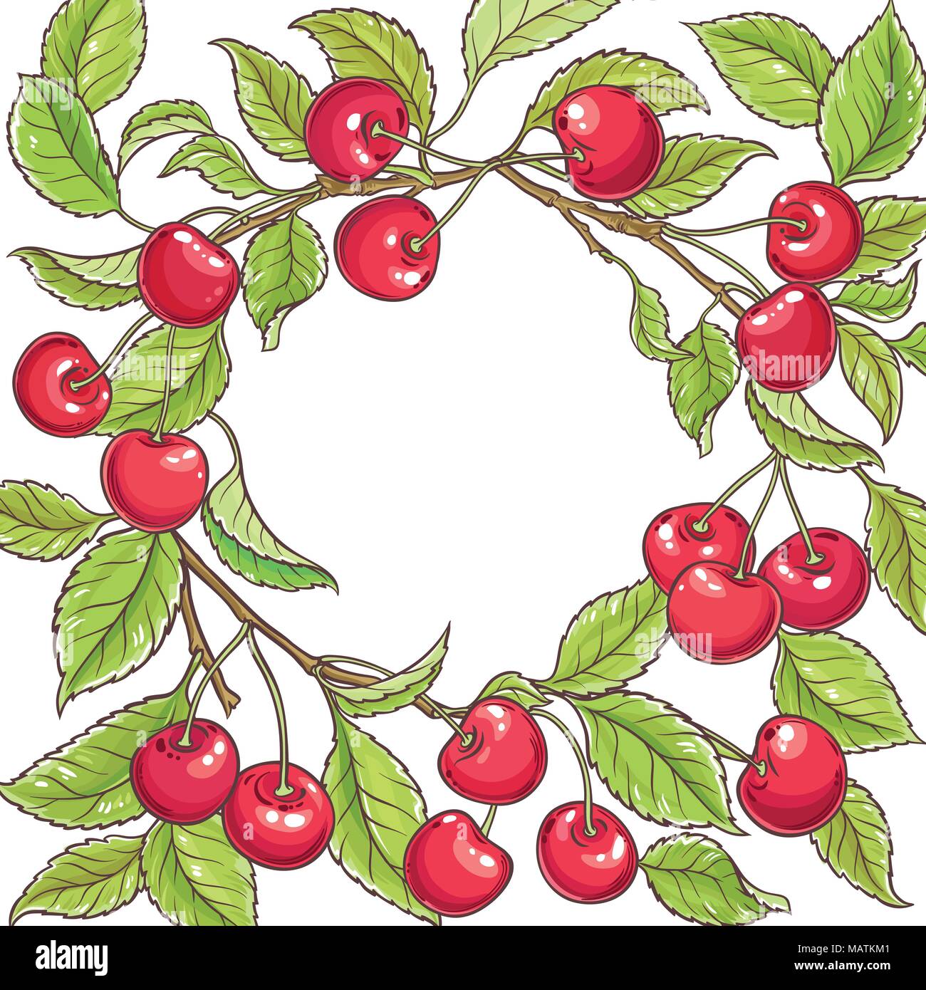 cherry branch vector frame on white backgrond Stock Vector