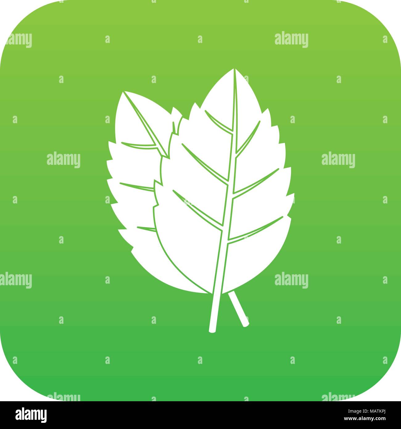 Two basil leaves icon digital green Stock Vector Image & Art - Alamy