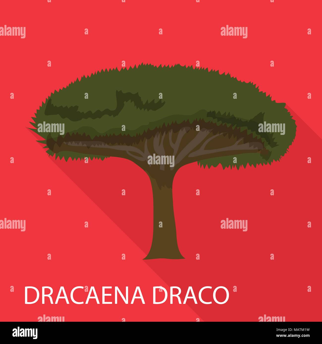 Forest dracaena Stock Vector Images - Alamy