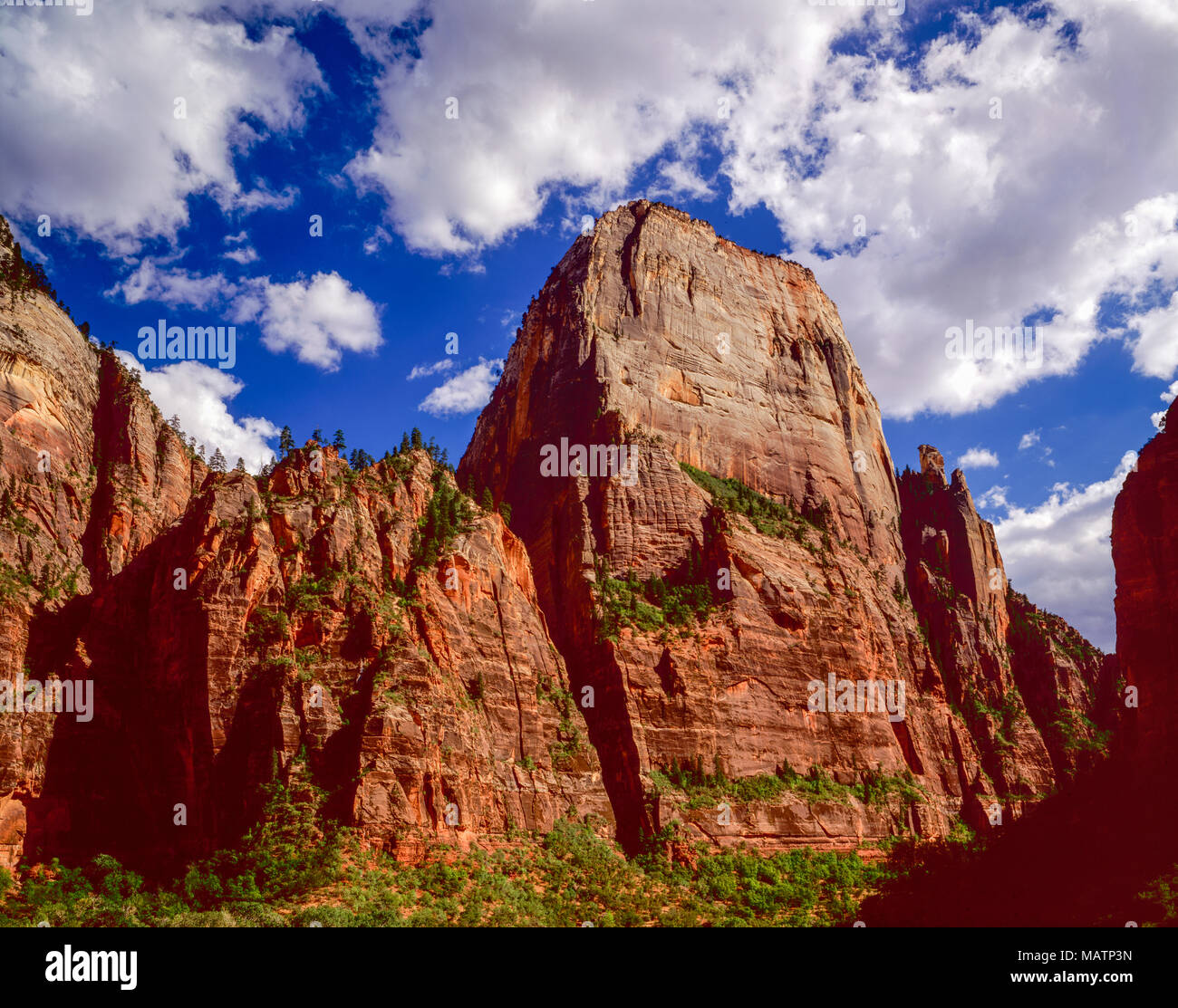 The Great White Throne, ZIon National Park, Utah Virgin River, Huge butte of Navajo Sandstone, ZIon Canyon Stock Photo