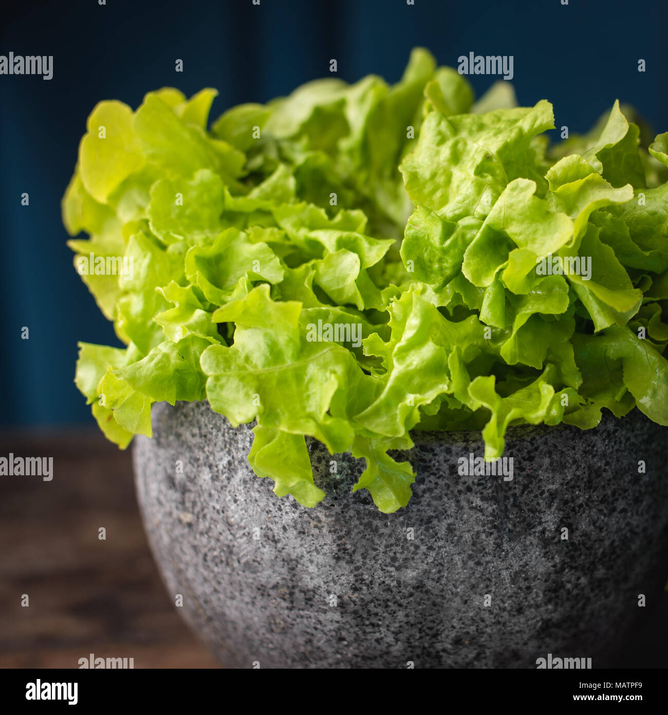 Green leaf Lettuce Stock Photo Alamy