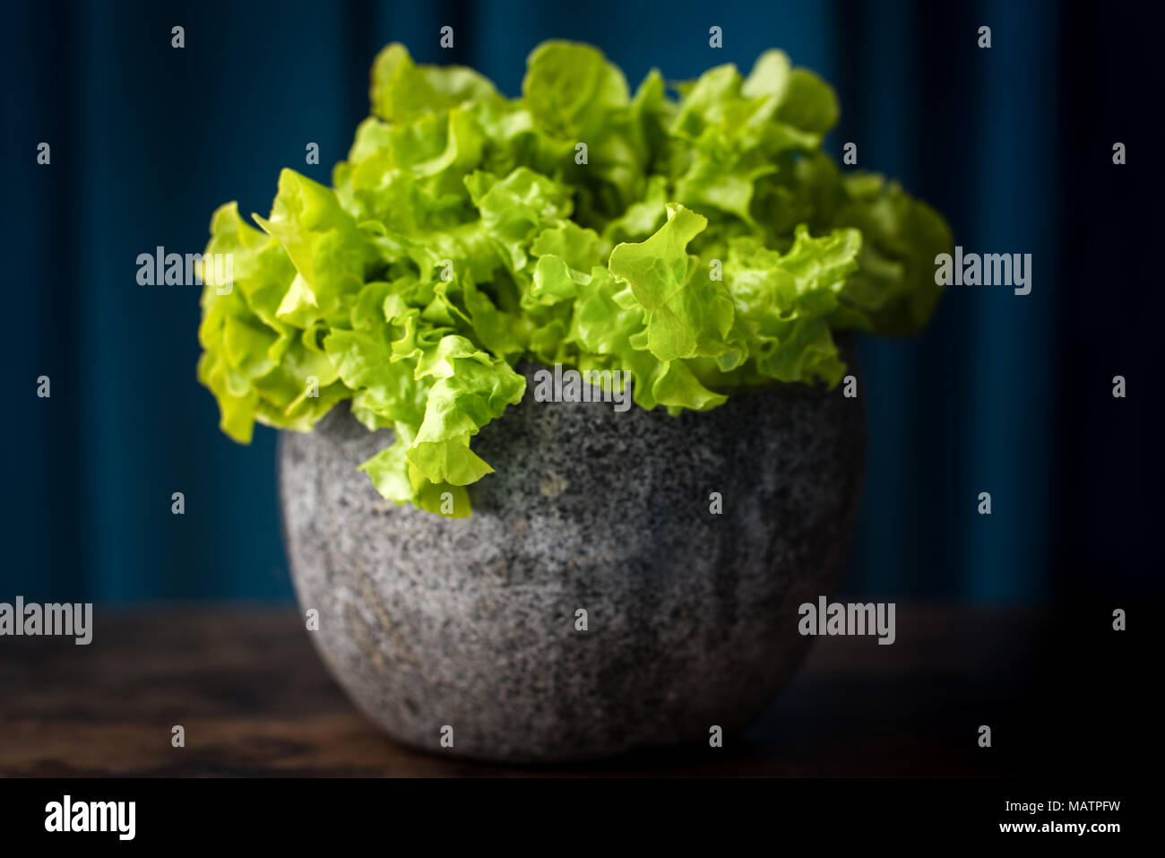 Green leaf Lettuce Stock Photo Alamy