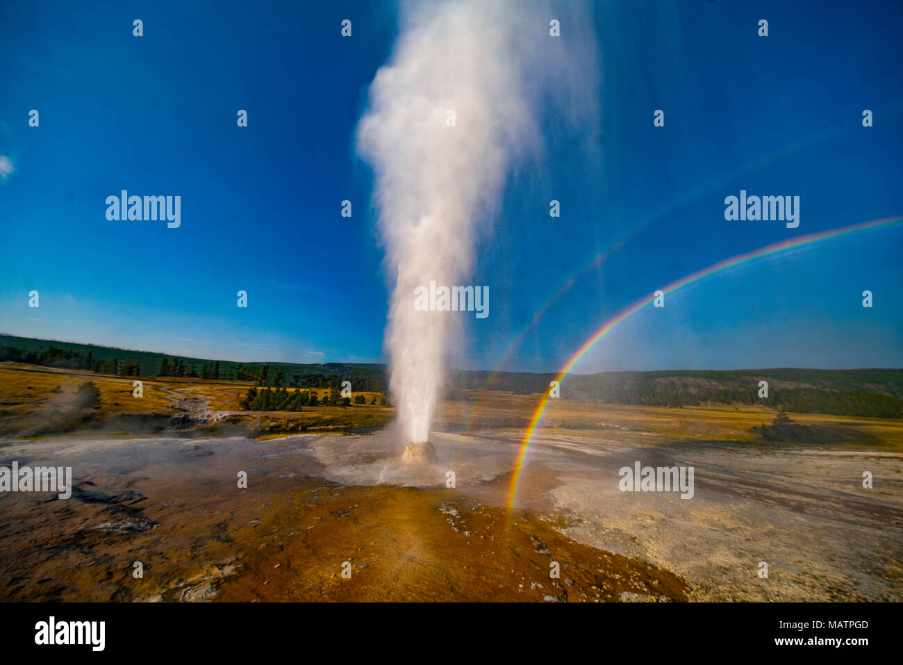 Beehive geyser hires stock photography and images Alamy