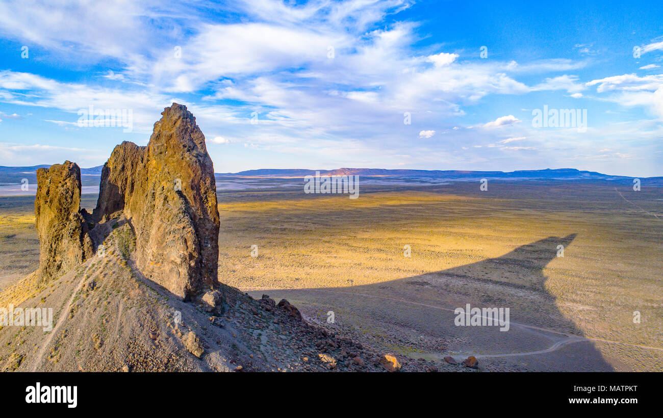 The boars tusk hi-res stock photography and images - Alamy