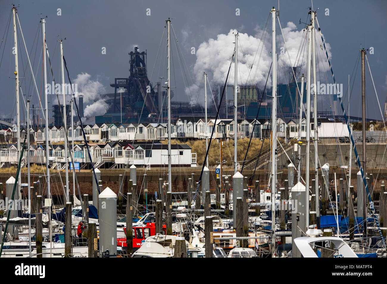 The Tata Steel steelworks in IJmuiden, Velsen, North Holland, Netherlands,  largest industrial area in the Netherlands, 2 blast furnaces, 2 coking plan  Stock Photo - Alamy