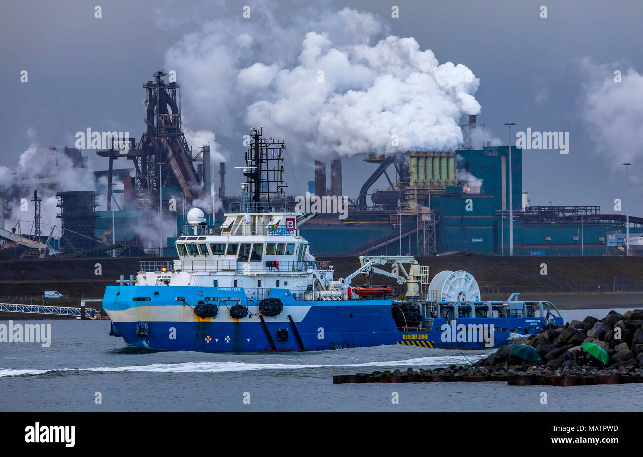 The Tata Steel steelworks in IJmuiden, Velsen, North Holland, Netherlands,  largest industrial area in the Netherlands, 2 blast furnaces, 2 coking plan  Stock Photo - Alamy