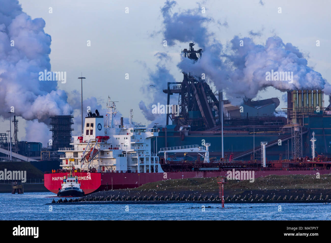 The Tata Steel steelworks in IJmuiden, Velsen, North Holland, Netherlands,  largest industrial area in the Netherlands, 2 blast furnaces, 2 coking plan  Stock Photo - Alamy