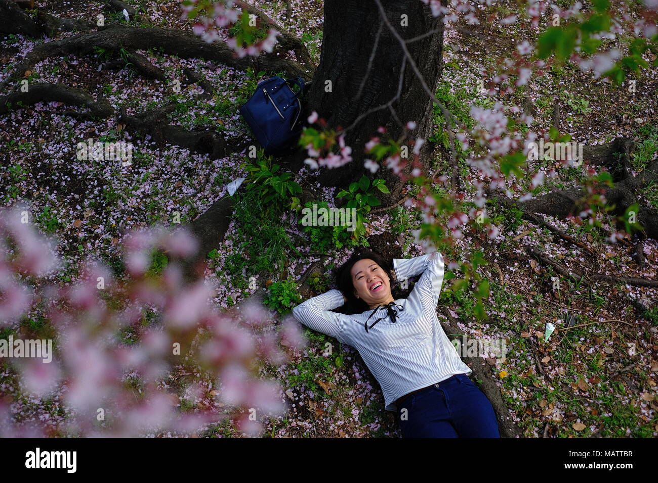 Japanese woman lying below sakura tree Stock Photo