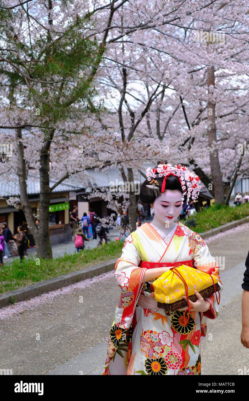Geisha Wearing Kimono Taking A Walk on Street in Kyoto Stock Photo