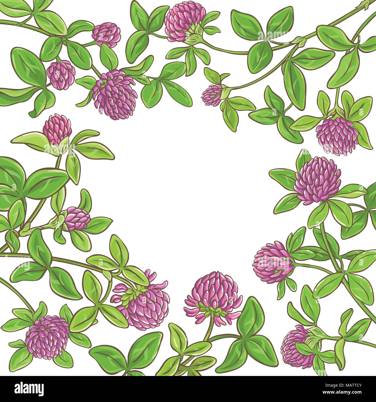 clover branch vector frame on white background Stock Vector