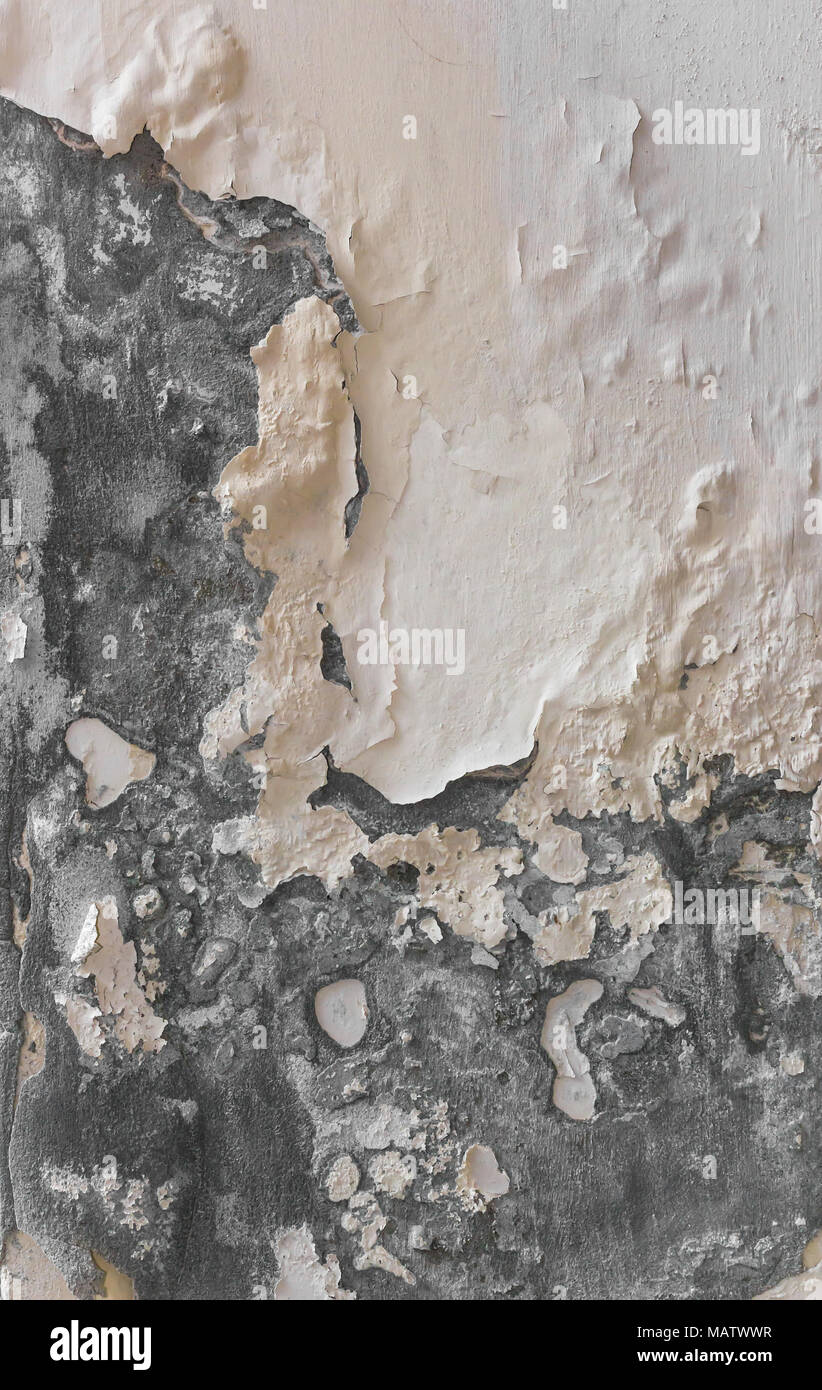 Peeling paint and moldy, indicating damp on the wall. Water Leaks