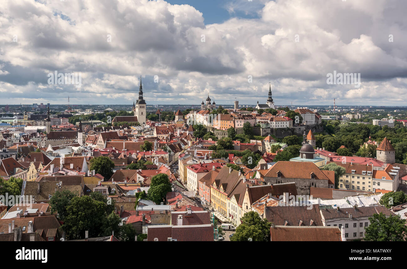 Skyline of Tallinn, Estonia at summer day Stock Photo