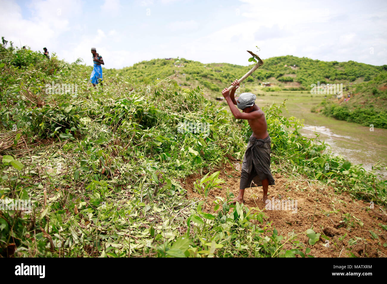 Myanmar's ethnic Rohingya Muslims clean a hill to build makeshift tent in Ukhiya, Bangladesh. Stock Photo