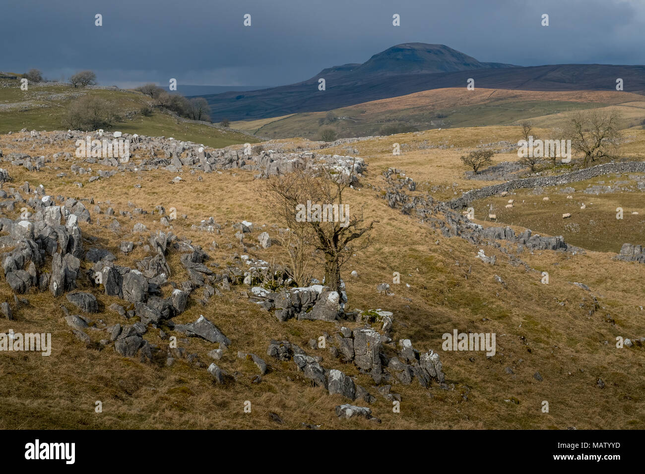 Settle and Helwith Bridge in the Yorkshire Dales Stock Photo - Alamy