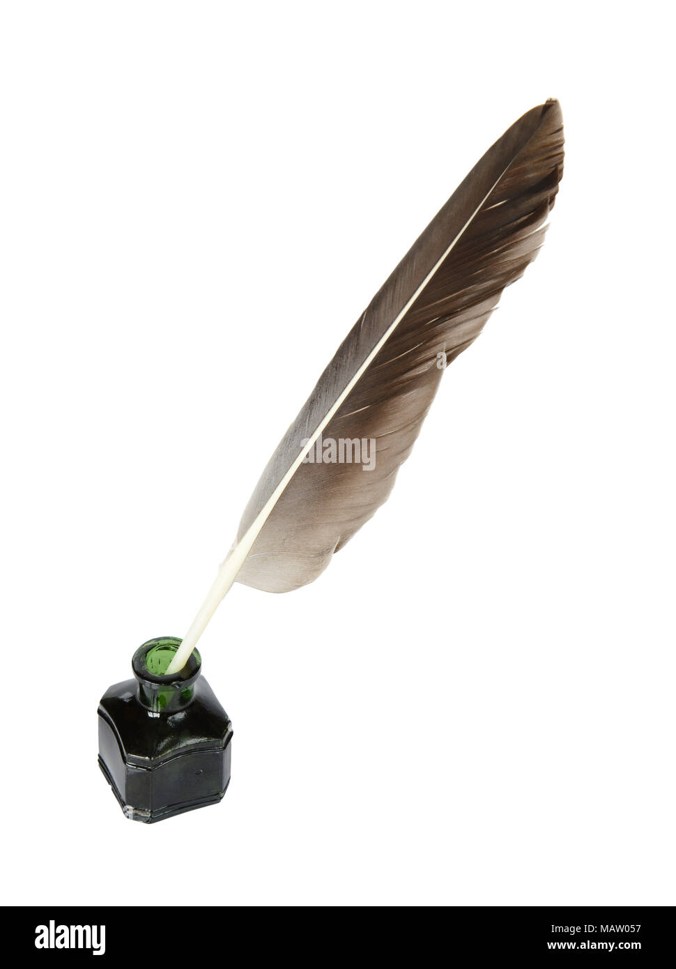 Writing Quill Feather Pen And Ink Well Stock Illustration - Download Image  Now - Quill Pen, Feather, Writing - Activity - iStock