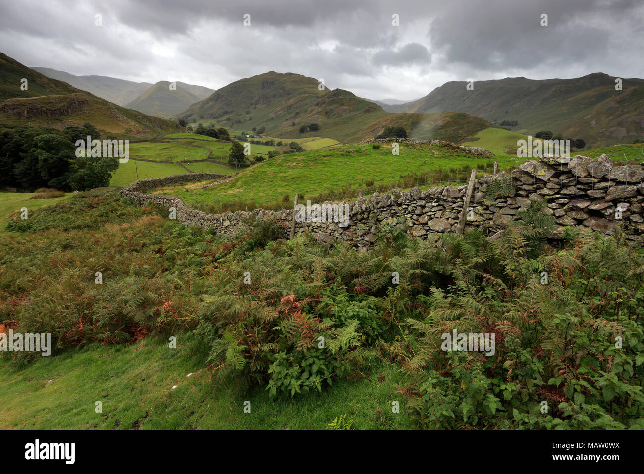 Summer, Martindale Common valley, Lake District National Park, Cumbria ...