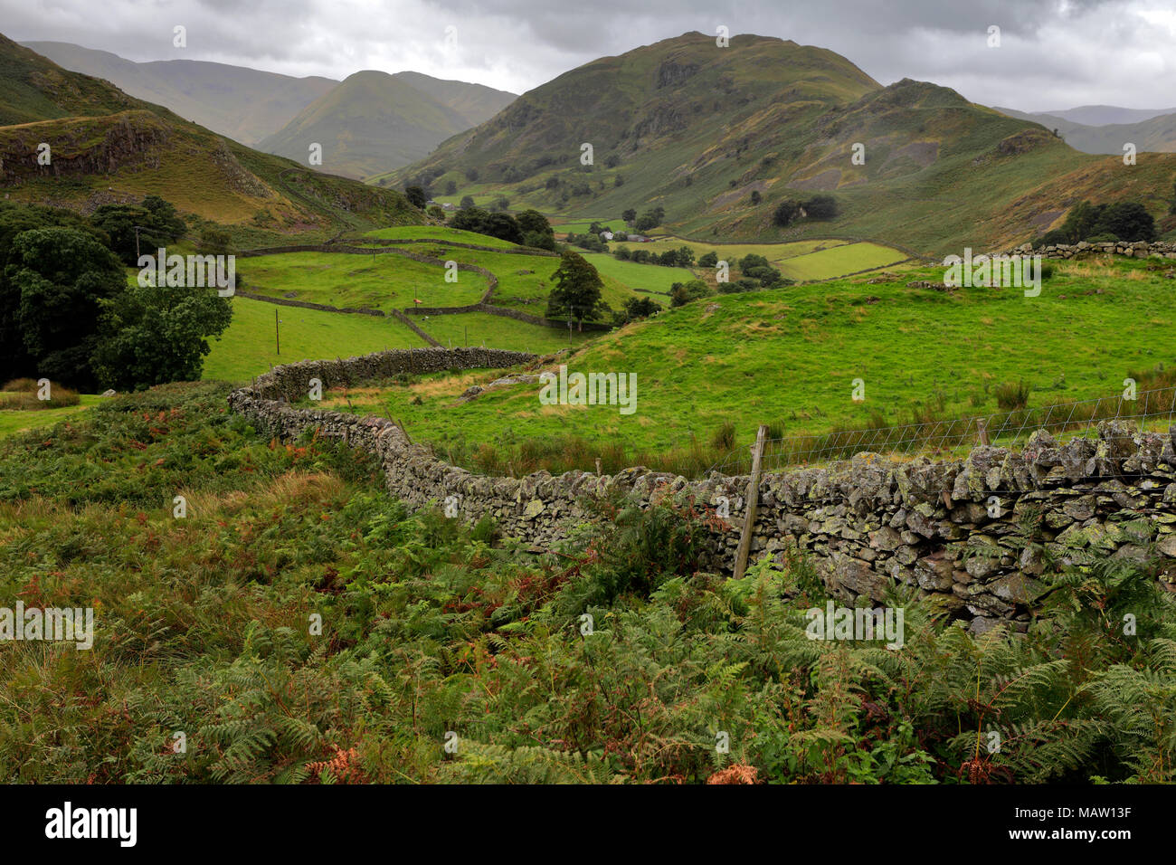 Summer, Martindale Common valley, Lake District National Park, Cumbria County, England, UK Stock