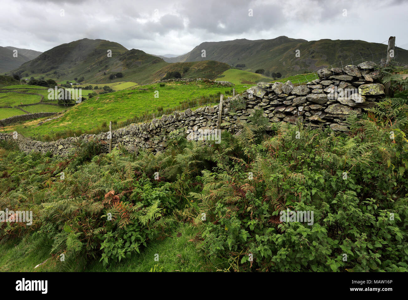 Summer, Martindale Common valley, Lake District National Park, Cumbria County, England, UK Stock