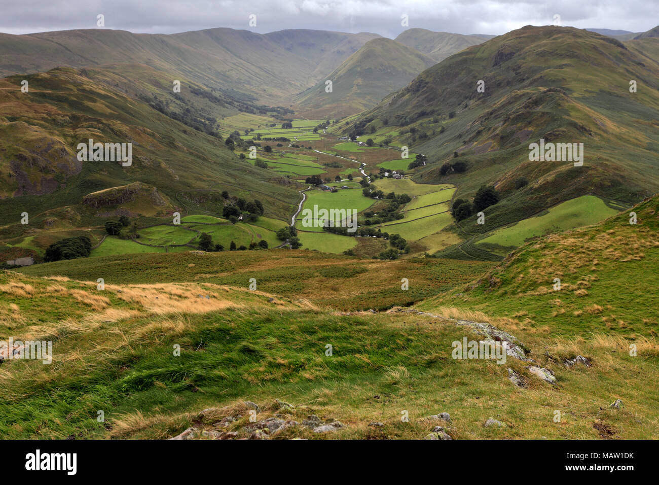 Summer, Martindale Common valley, Lake District National Park, Cumbria