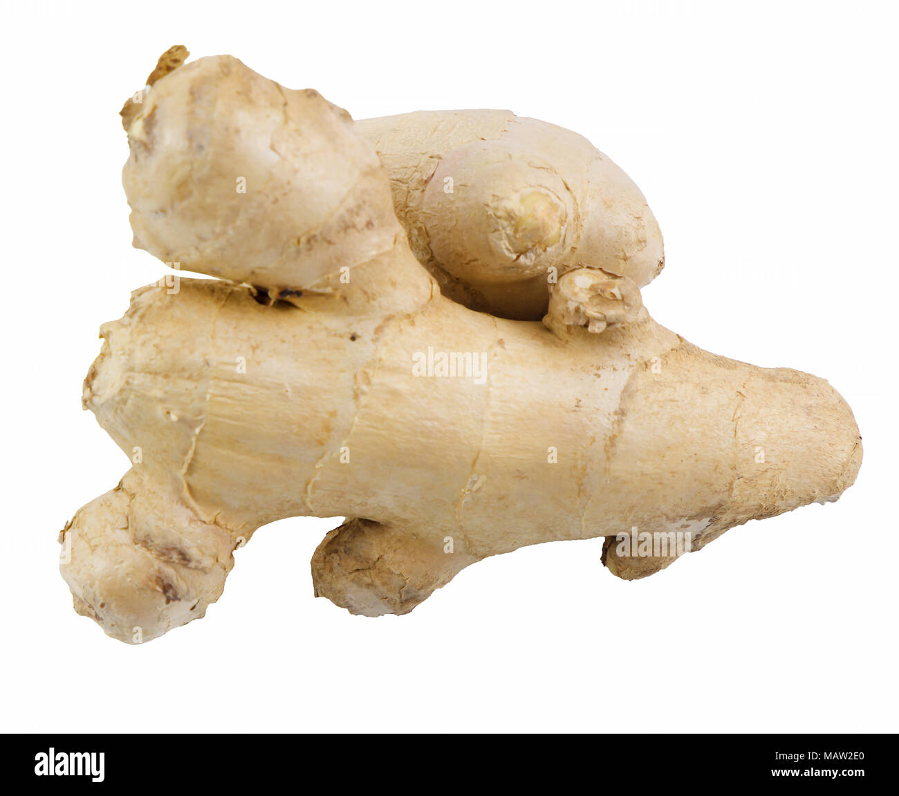 Fresh of ginger, ginger root on white background, herb medical, food