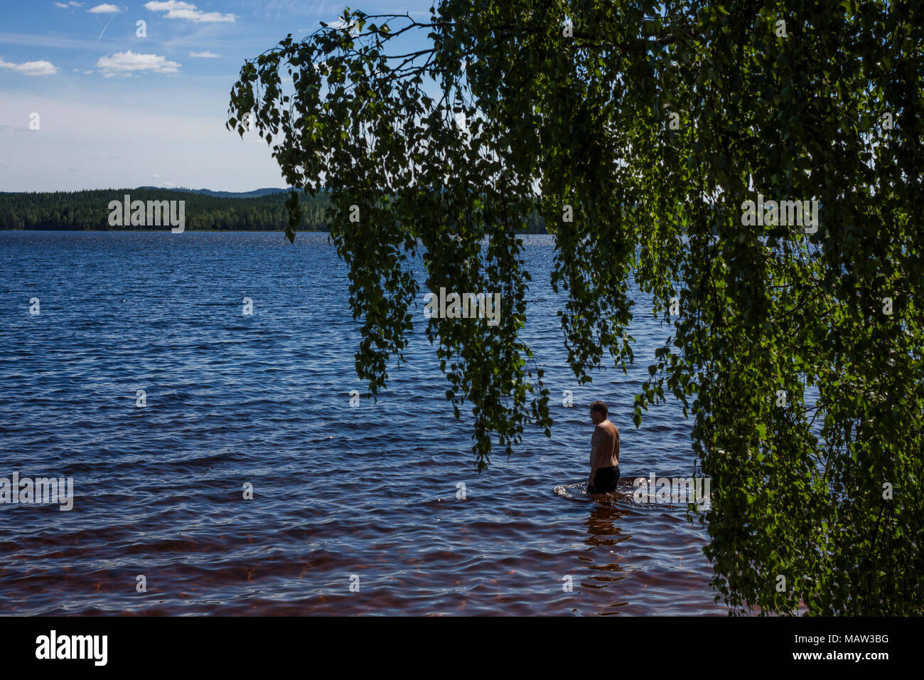 A man wading in a lake near Kopparberg, Sweden. Stock Photo