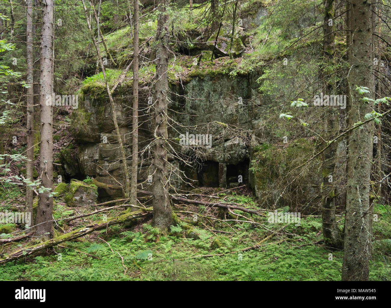 Within the city limits of the Norwegian capital Oslo you can find difficult to access forests with boulders, old vegetation and nobody in sight Stock Photo