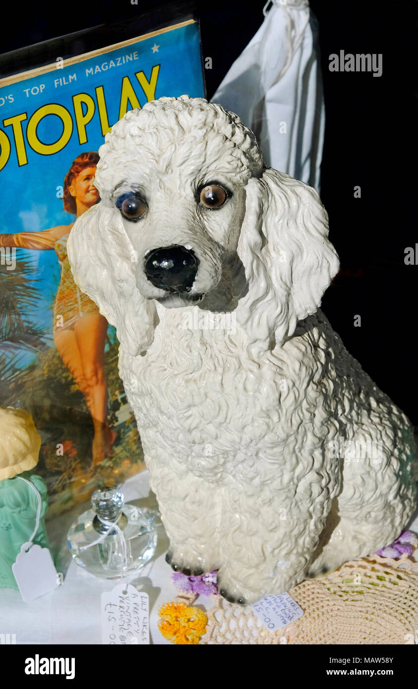 white porcelain french poodle dog in charity shop window Stock Photo