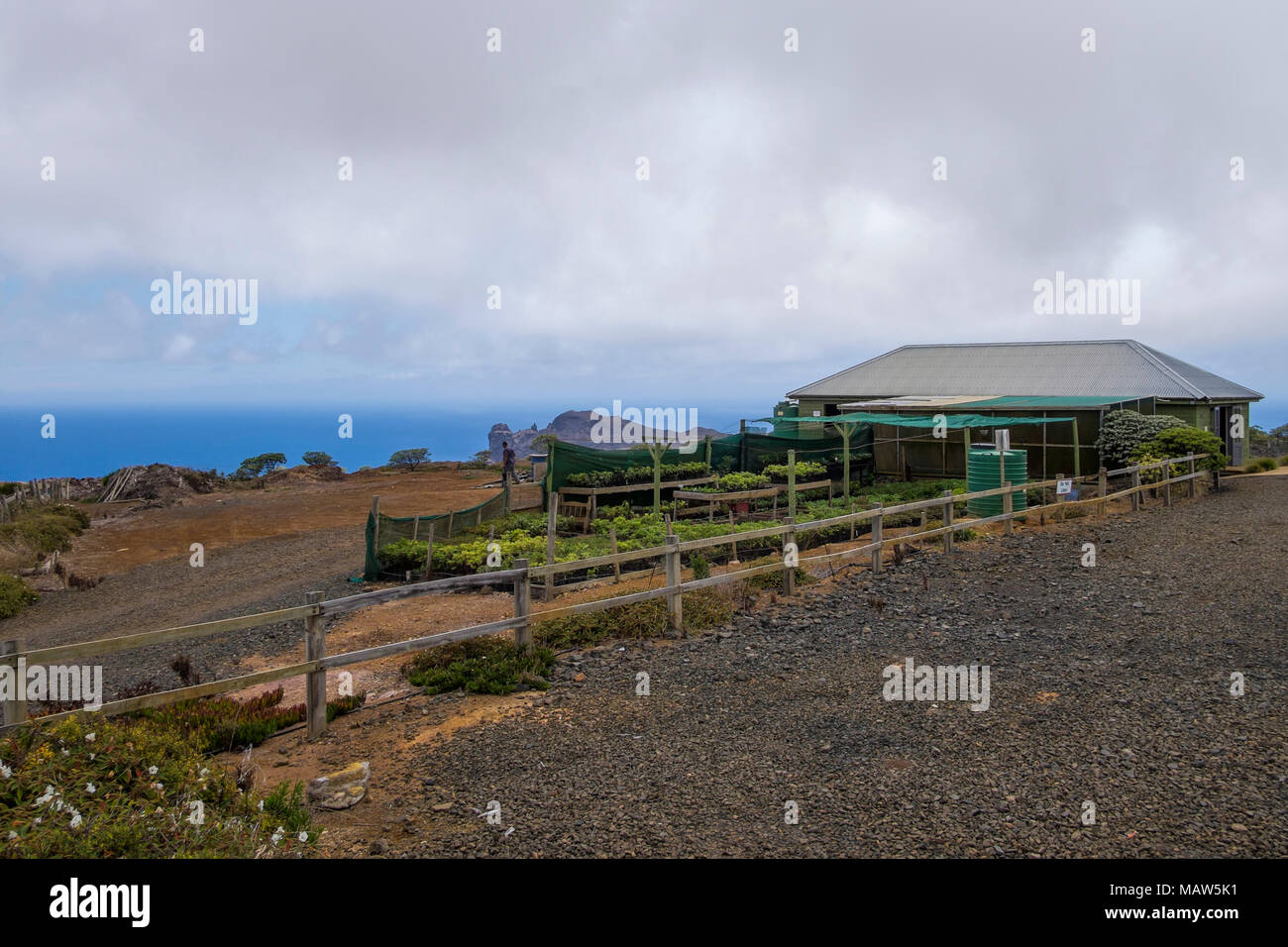 St helena island south atlantic hi-res stock photography and images - Alamy