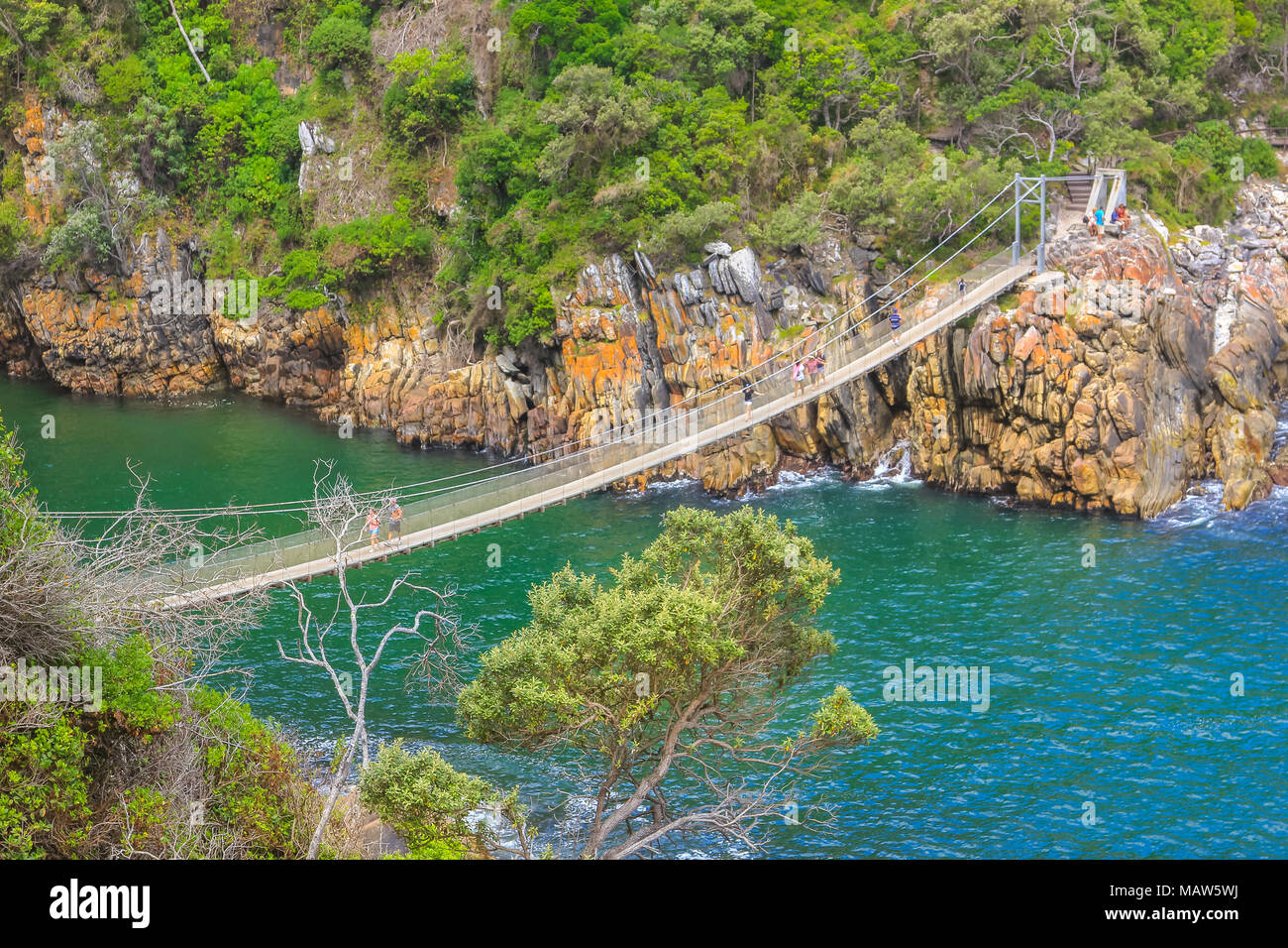 The Suspension Bridge Over The Storms River Mouth Within Tsitsikamma National Park Eastern Cape Near Plettenberg Bay In South Africa It Is An Important Tourist Destination Along The Garden Route Stock Photo